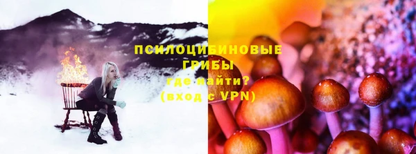 ПСИЛОЦИБИНОВЫЕ ГРИБЫ Карталы