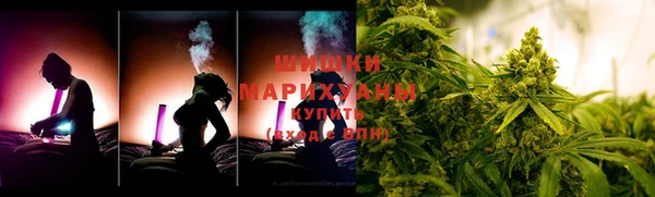 стаф Арсеньев