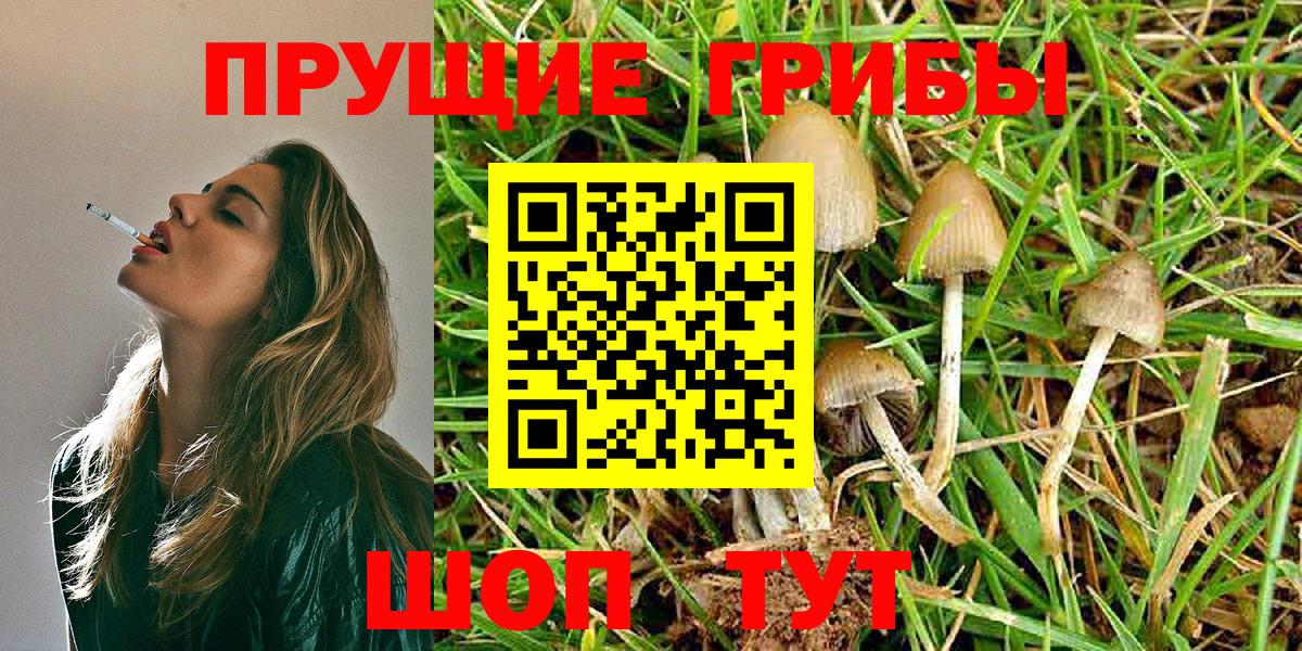 Галлюциногенные грибы Cubensis Всеволожск