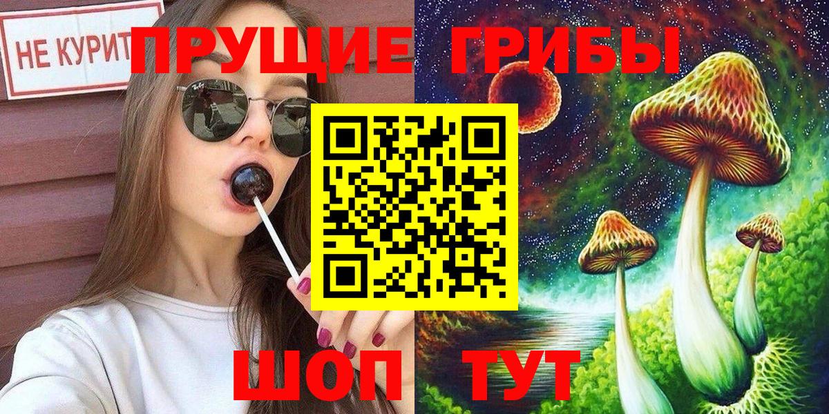 Всеволожск  Псилоцибиновые грибы Psilocybine cubensis  где купить наркотик  Вход с VPN 