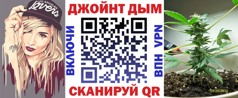Канабис сатива  Всеволожск 